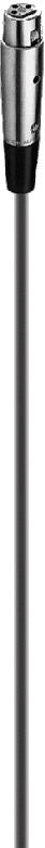 thesisaudioservice2050.gif